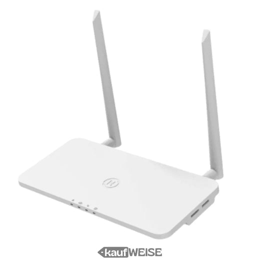Hoymiles DTU-Pro-S – WLAN регистратор на данни за микроинвертори | Мониторинг и наблюдение