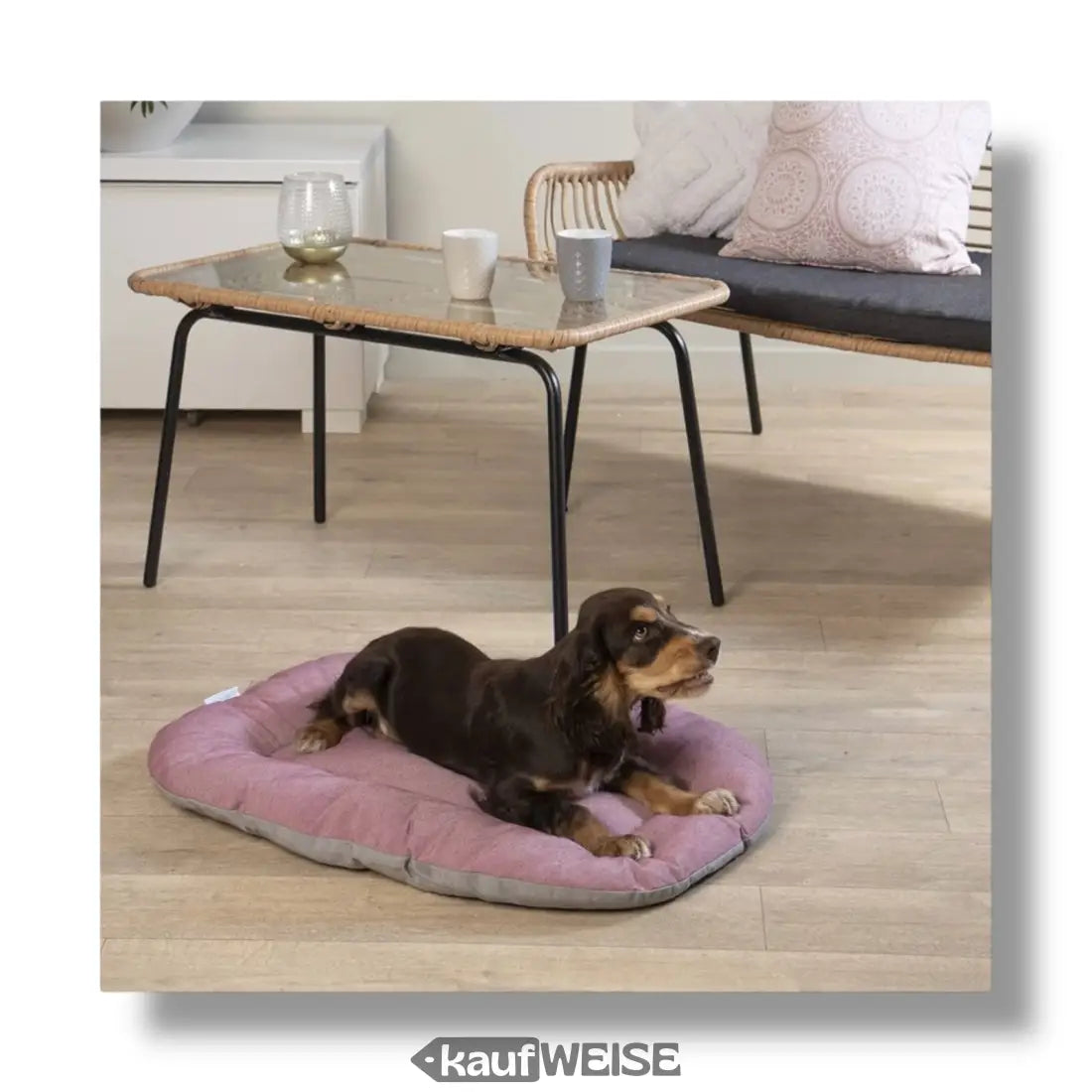 Brauner Dackel liegt auf rosa Hundebett aus recyceltem Material aus Italien