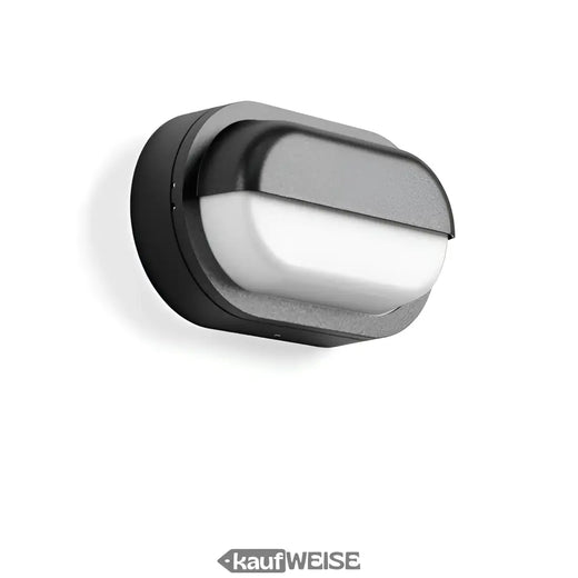 RZB Alu-Lux Овална LED стенна и таванна лампа | 582065.0031.1